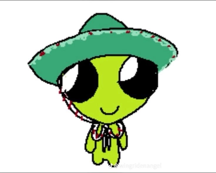 picture of flug with a sombreo